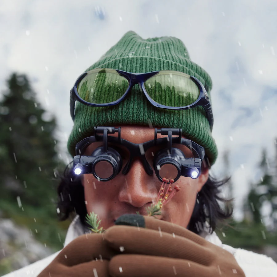 Forecast Beanie - Pine